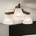 Brilagi - LED Taklampa ANTHONY 3xE14/40W/230V ek valnöt/vit