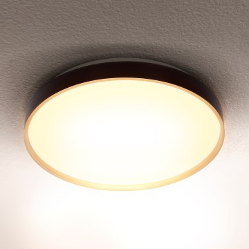 Brilagi - LED taklampa CALA LED/24W/230V