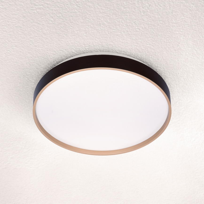 Brilagi - LED taklampa CALA LED/24W/230V