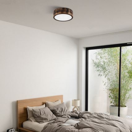Brilagi - LED-taklampa CARVALHO SMOKEY LED/20W/230V ek Ø 27,5 cm