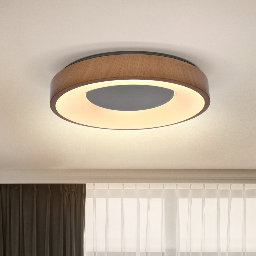 Brilagi - LED taklampa DORIA LED/24W/230V