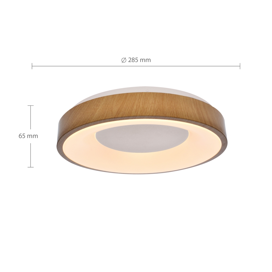 Brilagi - LED taklampa DORIA LED/24W/230V