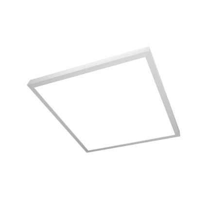 Brilagi - LED taklampa för badrum FRAME LED/40W/230V 60x60 cm IP44 vit