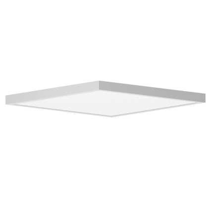 Brilagi - LED taklampa för badrum FRAME LED/40W/230V 60x60 cm IP44 vit