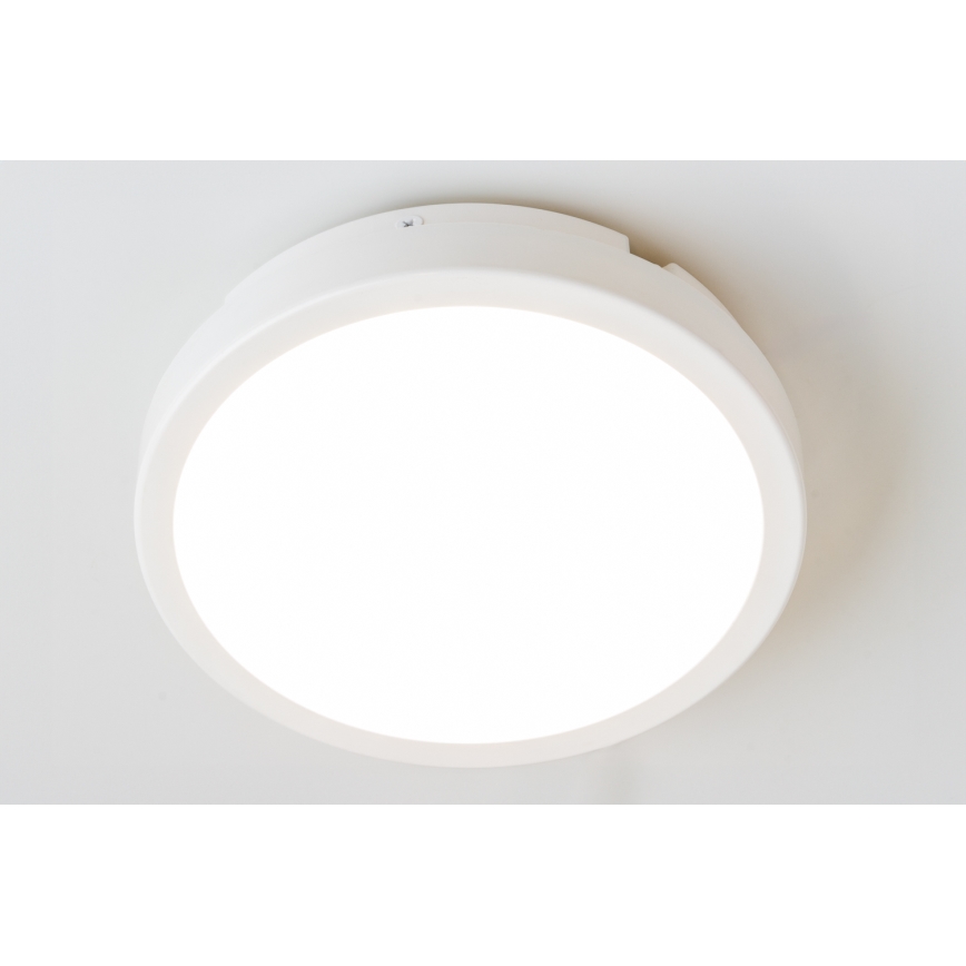 Brilagi - LED taklampa för badrum PERA LED/18W/230V diameter 22 cm IP65 vit