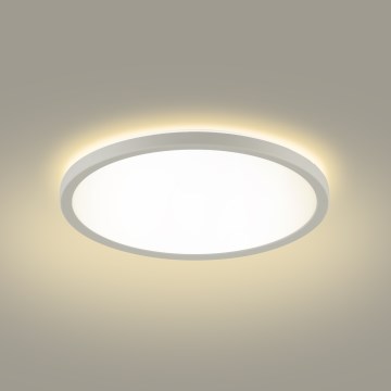 Brilagi - LED taklampa för badrum ULTRA SLIM LED/12W/230V diameter 22,5 cm vit IP54