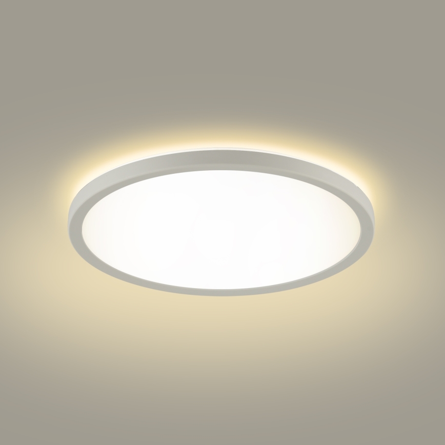 Brilagi - LED taklampa för badrum ULTRA SLIM LED/12W/230V diameter 22,5 cm vit IP54