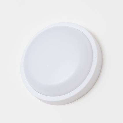Brilagi - LED taklampa för utomhusbruk LED/13W/230V diameter 17 cm IP54