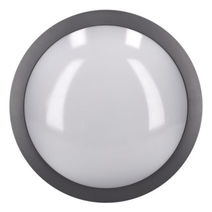 Brilagi - LED taklampa för utomhusbruk LED/20W/230V diameter 23 cm IP54 antracit