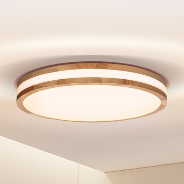 Brilagi - LED taklampa MOLINA LED/24W/230V ek