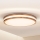 Brilagi - LED taklampa MOLINA LED/24W/230V ek
