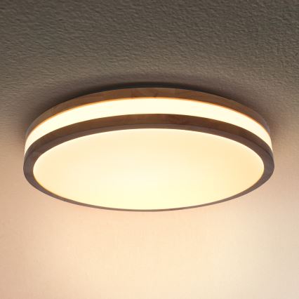 Brilagi - LED taklampa MOLINA LED/24W/230V ek