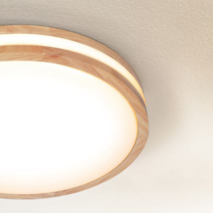 Brilagi - LED taklampa MOLINA LED/24W/230V ek
