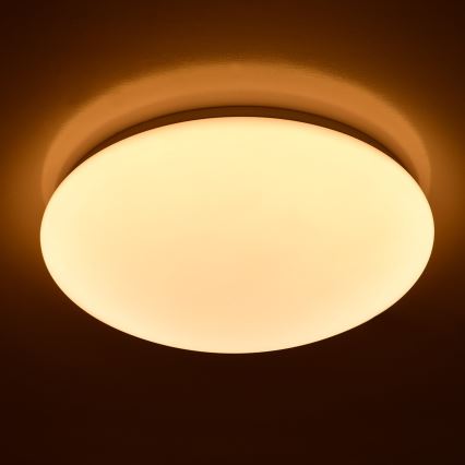 Brilagi - LED taklampa OPAL LED/24W/230V