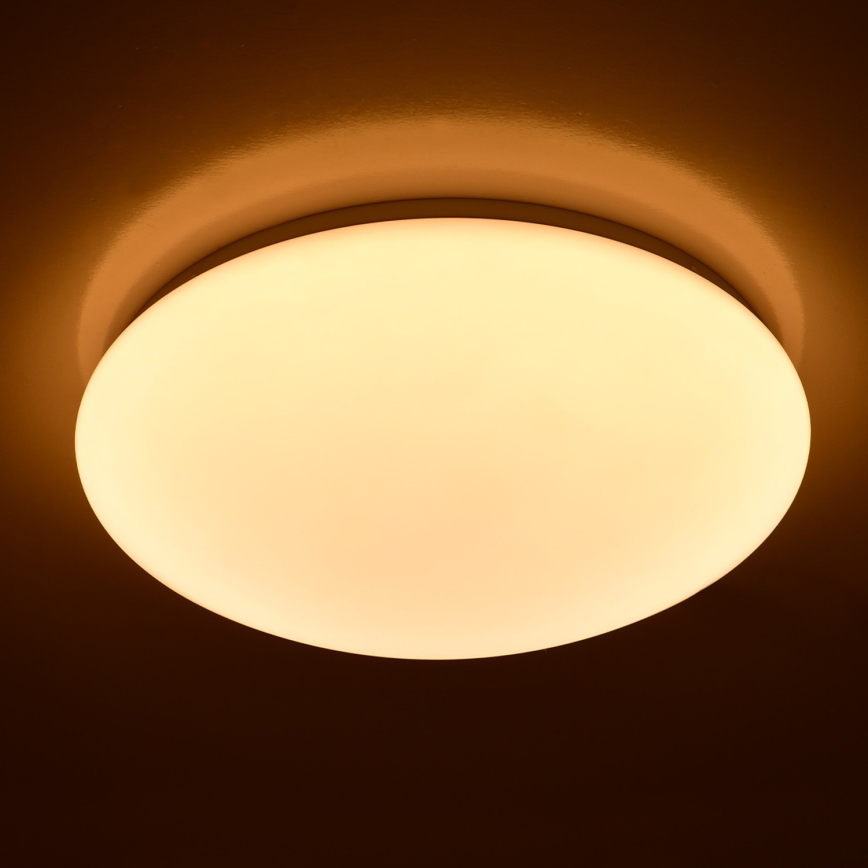 Brilagi - LED taklampa OPAL LED/24W/230V