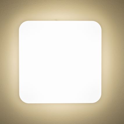 Brilagi - LED taklampa PLAIN LED/24W/230V 3000K
