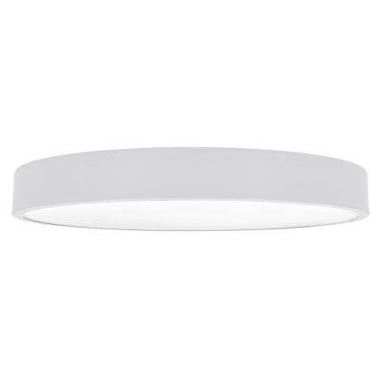 Brilagi - LED taklampa POOL LED/60W/230V 3000/4500/6000K 50 cm vit