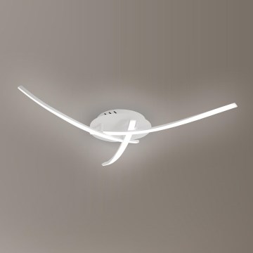 Brilagi - LED taklampa STRIPES LED/24W/230V vit