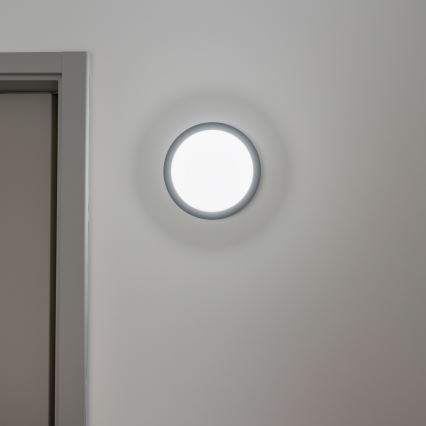 Brilagi - LED Utomhus taklampa LED/20W/230V Ø 23 cm IP54 antracit