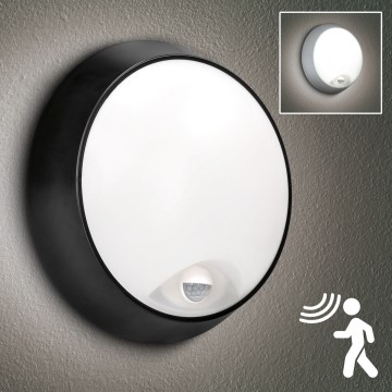 Brilagi - LED Utomhus vägglampa med sensor 2i1 BULKHEAD LED/20W/230V IP65