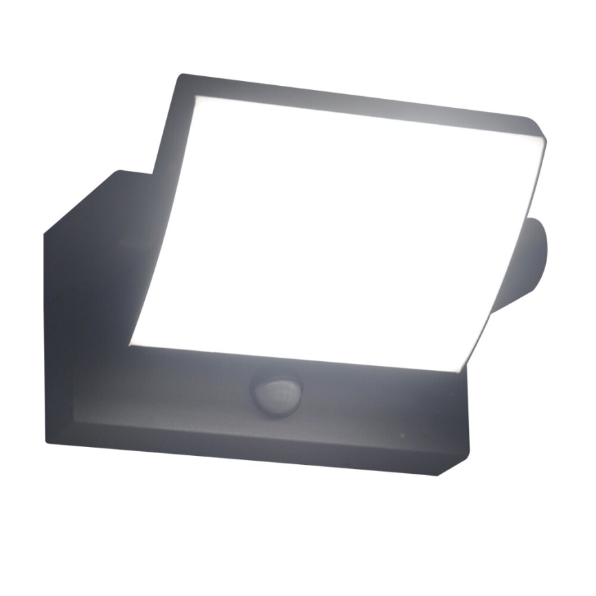 Brilagi - LED Utomhus vägglampa med sensor ANKLE LED/18W/230V 4000K IP65 antracit
