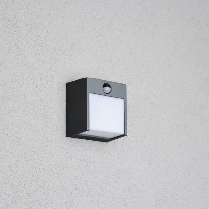 Brilagi - LED Utomhus Vägglampa med Sensor TERNI LED/12W/230V Antracit IP44