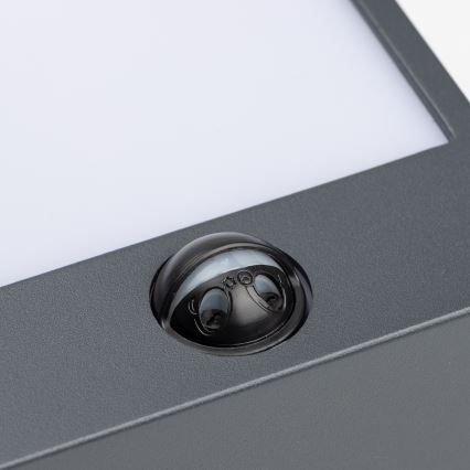 Brilagi - LED Utomhus Vägglampa med Sensor TERNI LED/12W/230V Antracit IP44