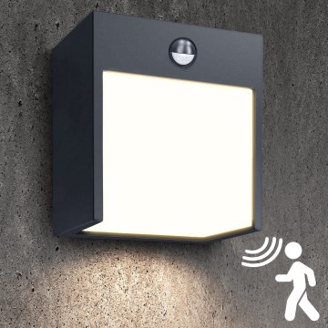 Brilagi - LED Utomhus vägglampa med sensor TERNI LED/12W/230V antracit IP44