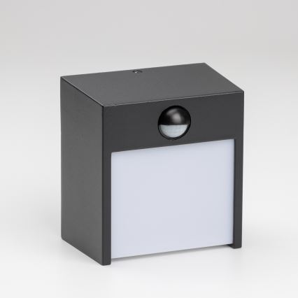 Brilagi - LED Utomhus Vägglampa med Sensor TERNI LED/12W/230V svart IP44