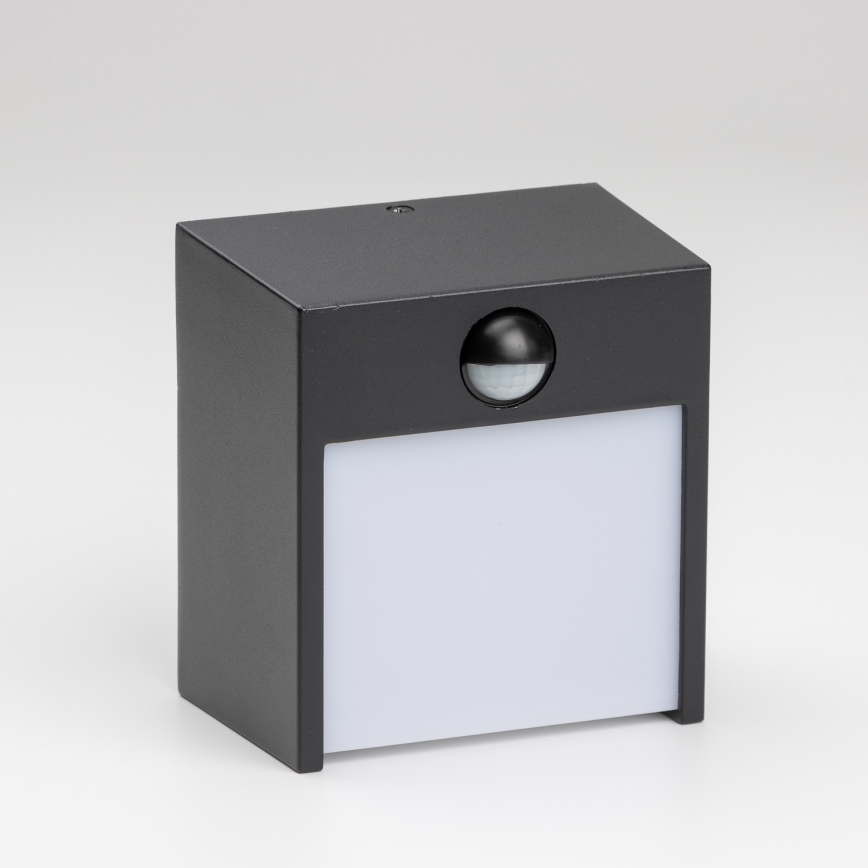Brilagi - LED Utomhus Vägglampa med Sensor TERNI LED/12W/230V svart IP44