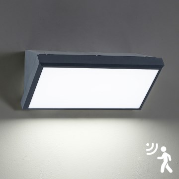 Brilagi - LED Utomhus vägglampa med sensor TRIANGLE LED/20W/230V antracit IP65