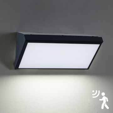 Brilagi - LED Utomhus vägglampa med sensor TRIANGLE LED/20W/230V svart IP65