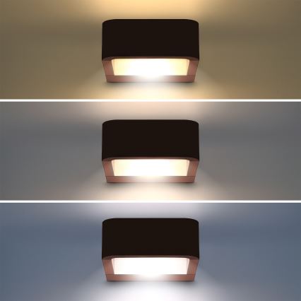 Brilagi - LED utomhusvägglampa BARI LED/7W/230V 3000/4000/6000K brun IP54