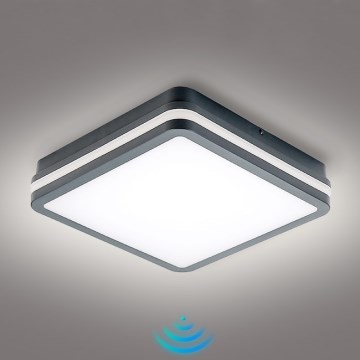 Brilagi - LED Utomhusbelysning med rörelsesensor BENE LED/24W/230V 26x26 cm antracit IP54