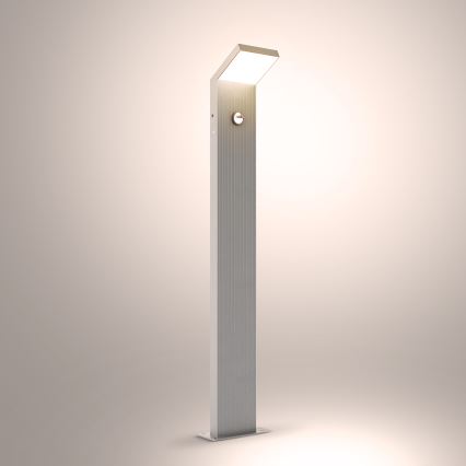 Brilagi - LED utomhuslampa med rörelsesensor RIANO LED/8W/230V silverfärgad IP65