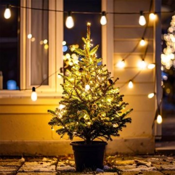 Brilagi - LED utomhusljusslinga 10xLED/3xAA 3,2m IP44 varmvit