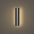 Brilagi - LED utomhusvägglampa LINEAR LED/8W/230V 3000K IP65 30 cm antracit
