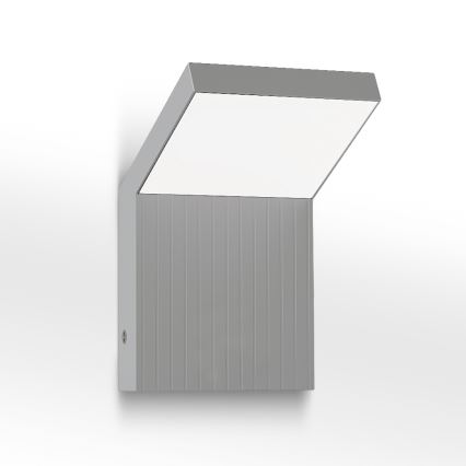Brilagi - LED utomhusvägglampa RIANO LED/8W/230V silver IP65
