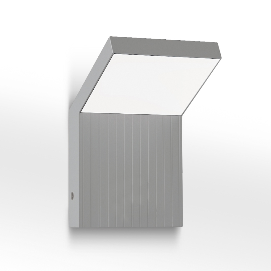 Brilagi - LED utomhusvägglampa RIANO LED/8W/230V silver IP65