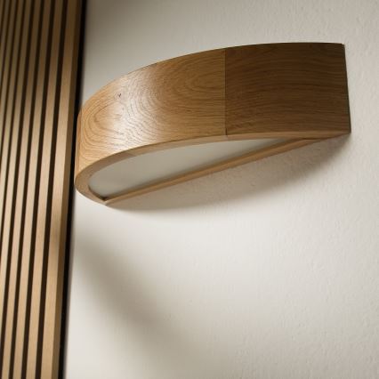 Brilagi - LED väggbelysning CARVALHO 1xE27/60W/230V ek
