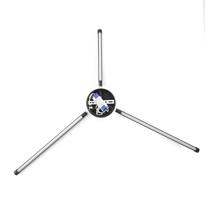 Brilagi - LED väggbelysning LUGO TRE LED/14W/230V svart