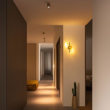 Brilagi - LED väggbelysning MILLA 3xG9/3W/230V skinande krom/guld