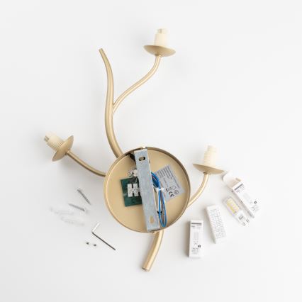 Brilagi - LED väggbelysning MISTEL 3xG9/3W/230V guld/vit