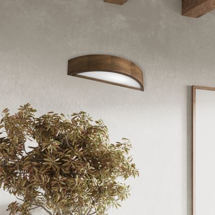 Brilagi - LED Vägglampa CARVALHO 1xE27/60W/230V ek