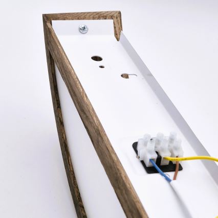 Brilagi - LED Vägglampa CARVALHO 1xE27/60W/230V ek