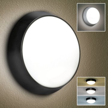 Brilagi - LED vägglampa för utomhusbruk 2i1 BULKHEAD LED/20W/230V 3000/4000/6000K IP65