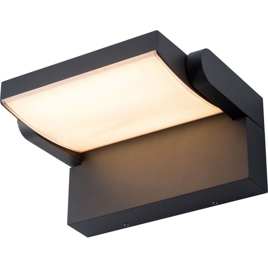 Brilagi - LED vägglampa för utomhusbruk ANKLE LED/12,5W/230V IP54