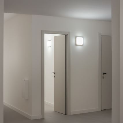 Brilagi - LED vägglampa för utomhusbruk LED/20W/230V IP54