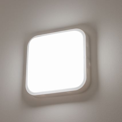 Brilagi - LED vägglampa för utomhusbruk LED/20W/230V IP54