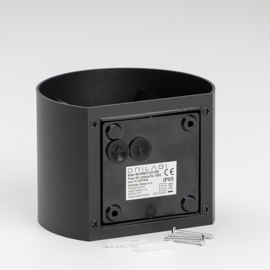 Brilagi - LED vägglampa för utomhusbruk RONDO LED/6W/230V IP54